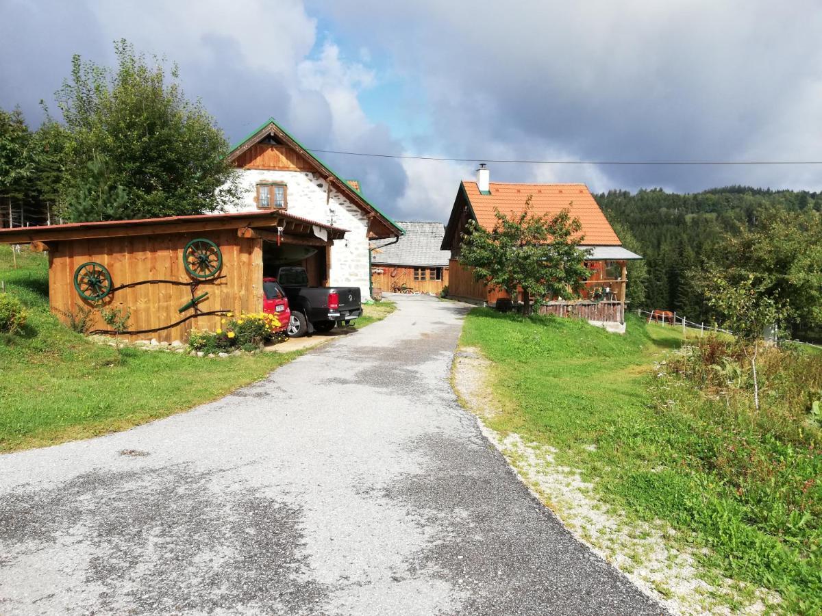 Ferienhaus Friedlhof Langschlag Kültér fotó